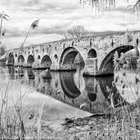 Buy canvas prints of BEZIERS BRIDGE  by Holly Burgess