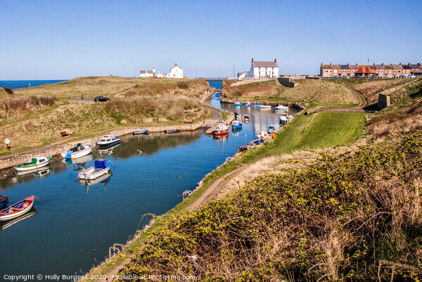 SEATON SLUICE Picture Board by Holly Burgess