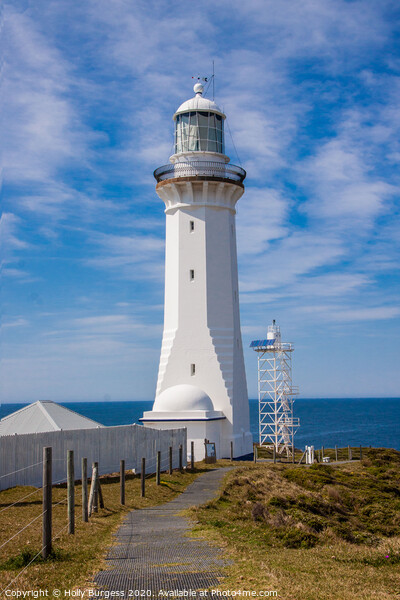 Beacon of Phillip Island: Australia's Coastal Gem Picture Board by Holly Burgess