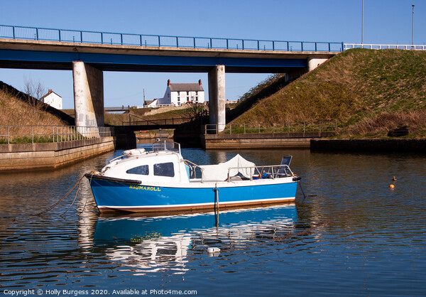 Seaton Sluice: Northumberland's Coastal Jewel Picture Board by Holly Burgess