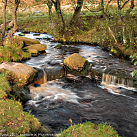 Buy canvas prints of PADLEY GORGE by Holly Burgess