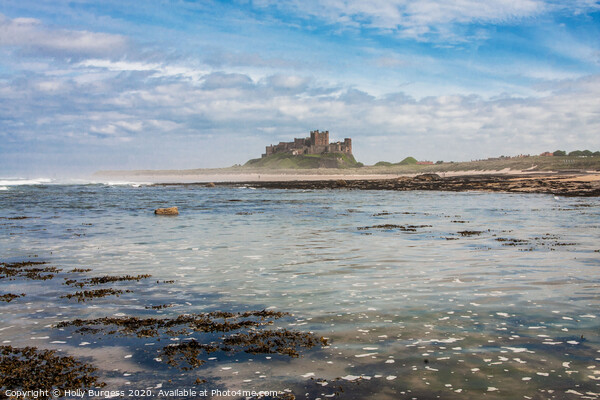 Cinematic Bamburgh Castle by the Shoreline Picture Board by Holly Burgess