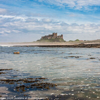 Buy canvas prints of Cinematic Bamburgh Castle by the Shoreline by Holly Burgess