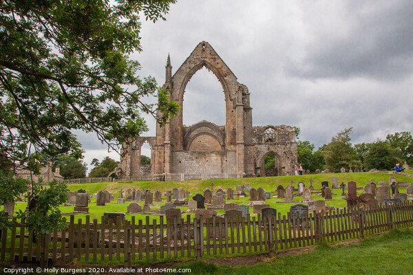 Echoes of Past Time: Bolton Abbey Ruins Picture Board by Holly Burgess