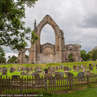 Buy canvas prints of Echoes of Past Time: Bolton Abbey Ruins by Holly Burgess