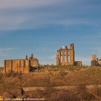Buy canvas prints of Tynemouth Priory and Castle by Holly Burgess