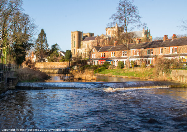 Ripon Catherdal Yorkshire  Picture Board by Holly Burgess