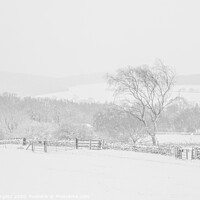 Buy canvas prints of Winter's Embrace at Bradgate Park by Holly Burgess