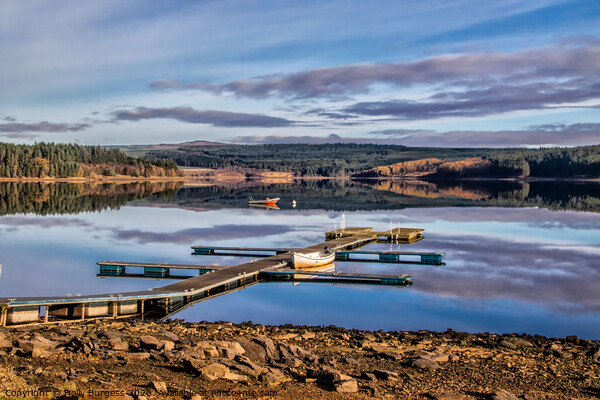 Enchanting Kielder: Forest, Reservoir, and Beyond Picture Board by Holly Burgess
