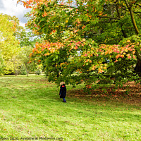 Buy canvas prints of Autumnal Elegance of Cotswold by Holly Burgess