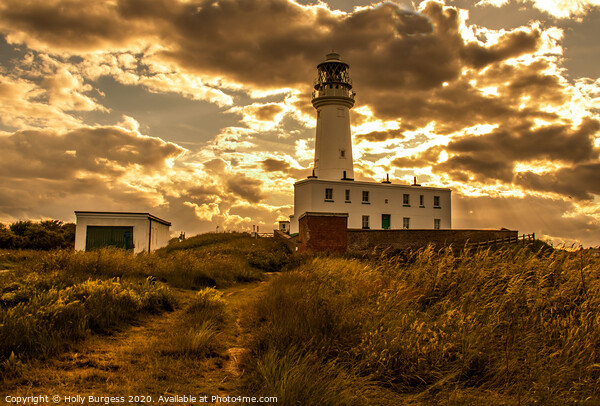 Flamborough light house at sunset  Picture Board by Holly Burgess