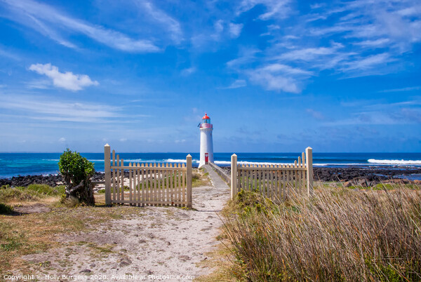 Enchanting Beacon of Port Fairy Australia  Picture Board by Holly Burgess