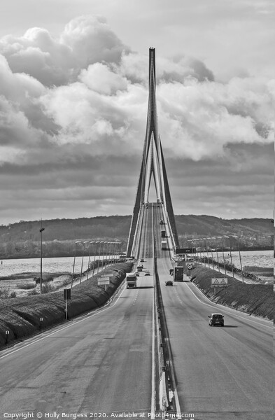 Viaduc De Millau Bridge, France Black and white  Picture Board by Holly Burgess