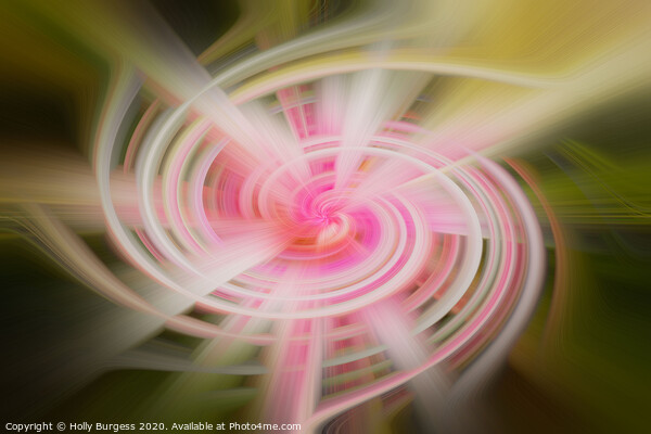 Twirl Abstract from a flower  Picture Board by Holly Burgess