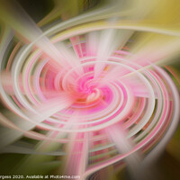 Buy canvas prints of Twirl Abstract from a flower  by Holly Burgess
