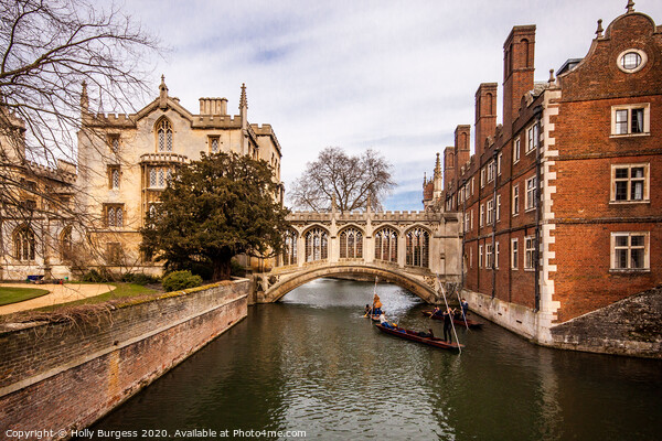 The Bridge of Sighs in Cambridge, England Picture Board by Holly Burgess