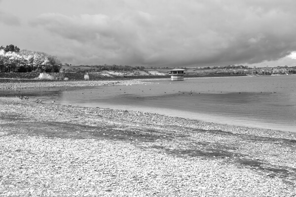 Carsington Waters, Derbyshire, black and white  Picture Board by Holly Burgess