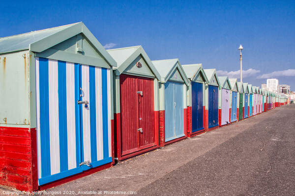 Brighton Beach huts Picture Board by Holly Burgess
