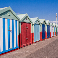 Buy canvas prints of Brighton Beach huts by Holly Burgess