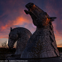 Buy canvas prints of Kelpie Horses head Scotland  by Holly Burgess
