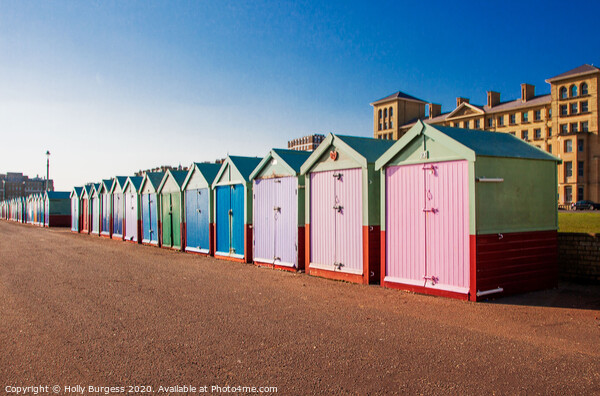 Vibrant Retreat: Brighton Beach Huts Picture Board by Holly Burgess