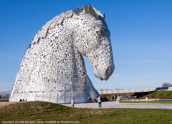 Kelpies horse head standing 30meters high Picture Board by Holly Burgess