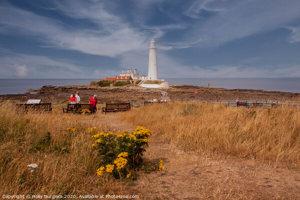 St Marys Light house, North of Whitley bay, Tyne and Wear  Picture Board by Holly Burgess