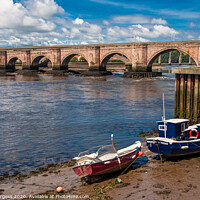 Buy canvas prints of Historic Berwick Bridge's Picturesque River View by Holly Burgess