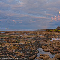 Buy canvas prints of Coquet island looking from Amble by the sea  by Holly Burgess