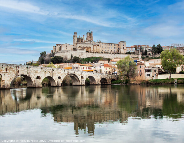 Chateau Castle Beziers France  Picture Board by Holly Burgess