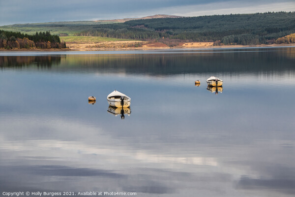 Kielder waters, Reservoir Northumberland  Picture Board by Holly Burgess