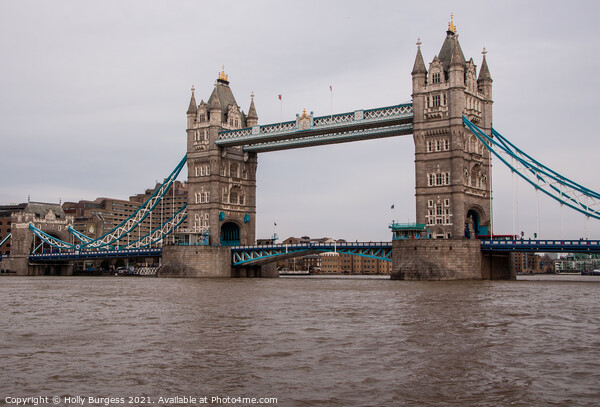 Tower bridge London over the thames  Picture Board by Holly Burgess