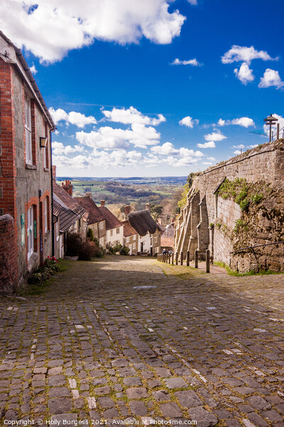 'Steep Journey: Shaftesbury's Iconic Gold Hill' Picture Board by Holly Burgess
