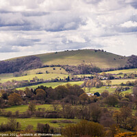 Buy canvas prints of Castle Hill Shaftesbury Dorset  by Holly Burgess