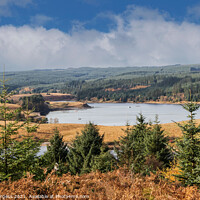 Buy canvas prints of Kielder Water, Northumberland Biggest man made woodland in Europe  by Holly Burgess