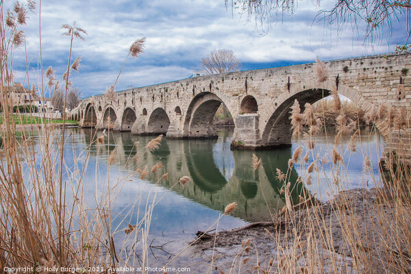 Beziers Bridge over water France  Picture Board by Holly Burgess