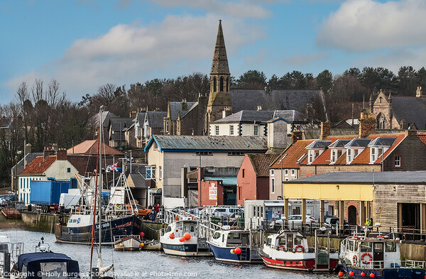 Eyemouth Small seaside town in Scotland  Picture Board by Holly Burgess