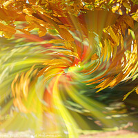 Buy canvas prints of Abstract art a tree with aunt leaves with a twirl in the back ground  by Holly Burgess