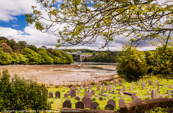 Immortal Harmony: Anglesey's Menai Strait Bridge C Picture Board by Holly Burgess