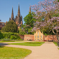 Buy canvas prints of Triple-Spired Lichfield Cathedral: A Gothic Master by Holly Burgess