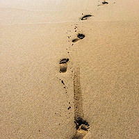 Buy canvas prints of Footsteps in the sand by Gav Argent