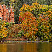 Buy canvas prints of Autumn Colours by Danny Cannon