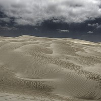 Buy canvas prints of Dunes by Danny Cannon
