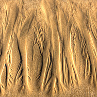 Buy canvas prints of Patterns In The Sand by Danny Cannon