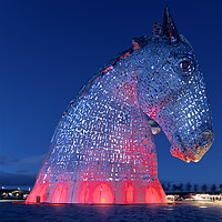 Buy canvas prints of The Kelpies by Danny Cannon