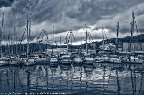 Genoa marina #1 - Docks in blue Picture Board by Claudio Lepri