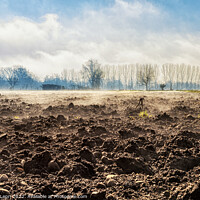Buy canvas prints of The awakening of the land in March by Claudio Lepri