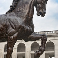 Buy canvas prints of The Horse of Leonardo, close-up, Milan Italy by Claudio Lepri