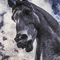 Buy canvas prints of Horse Head. Vision of The Horse of Leonardo, Milan by Claudio Lepri