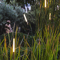 Buy canvas prints of Light Vision in the Garden #1 by Claudio Lepri
